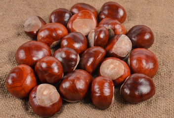 Fresh whole autumn chestnuts