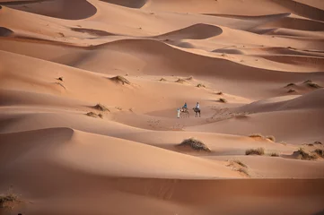 Fototapeten Sahara © maxbunny