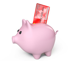 Piggy Bank with Credit Card