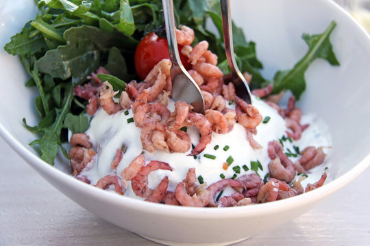 b&uuml;sumer krabben mit quark und ofenkartoffel