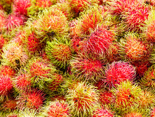 Fototapeta premium Red rambutan