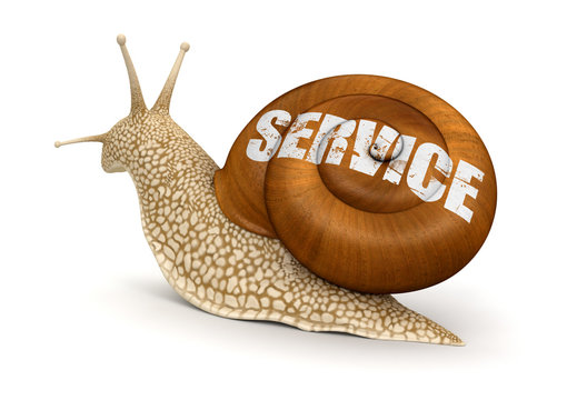 Service Snail (clipping Path Included)