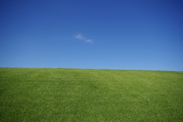 Obraz na płótnie Canvas 芝生の丘
