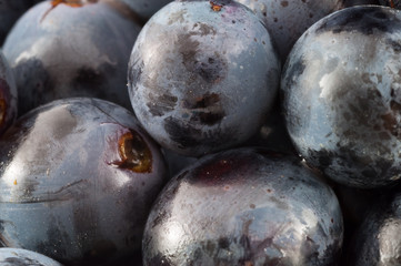 grape bunch