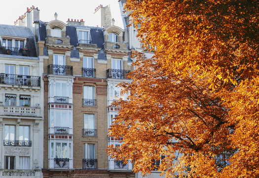 Paris im Herbst