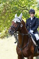 Horse and rider.