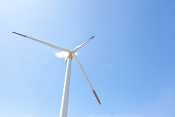 Fototapeta premium Wind farm