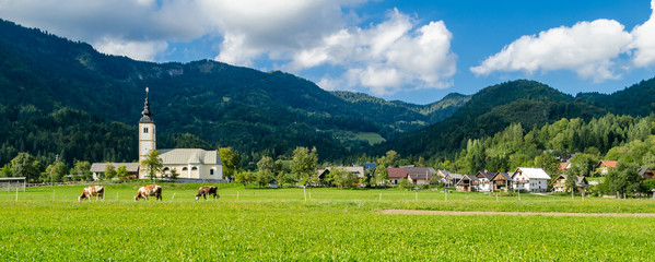 Slovenia, typical landscape in Gorenjska region