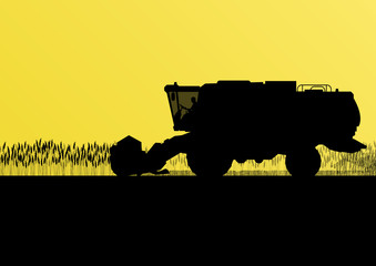 Agricultural combine harvester in grain field seasonal farming l © kstudija