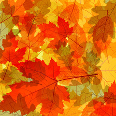 Naklejka na ściany i meble Autumn leaves background vector concept