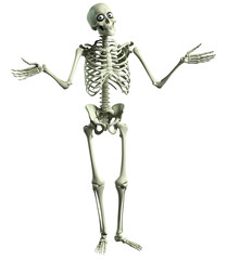 3d cartoon skeleton