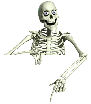 3d cartoon skeleton