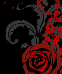 Red rose vintage background