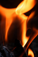Fototapeta premium Fire