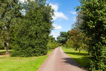 Path through Beautiful Summer Garden
