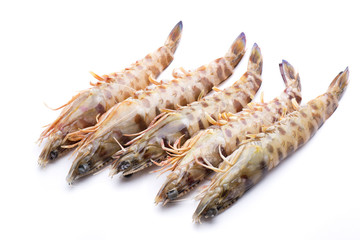 shrimp line