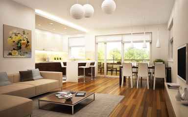 Modern kitchen and living room