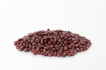 Bean
