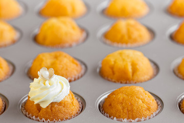 Fresh cupcakes
