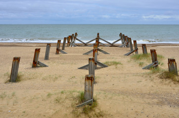 three lines of wooden posts