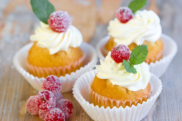 Cupcakes with sugared redcurrants and fresh mint leaves 
