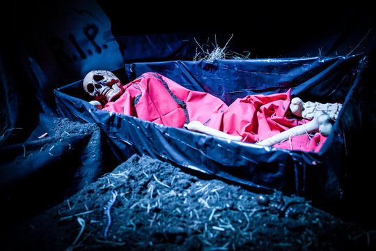 halloween decoration doll skeleton in a funeral casket