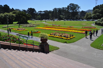 San Francisco Park © il_ras