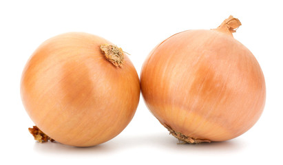 Fresh bulbs of onion on a white background