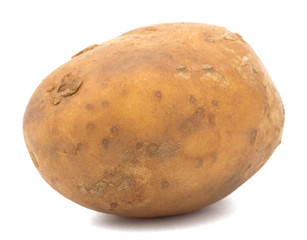 New Potatoes isolated on white background