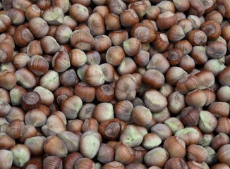 hazelnuts