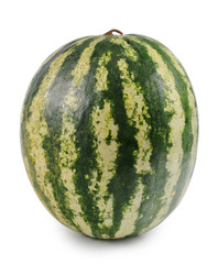 Variegated rind of a watermelon