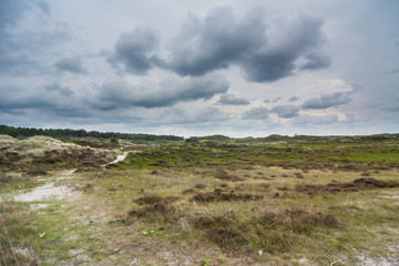 heathland landscape during a stormy day