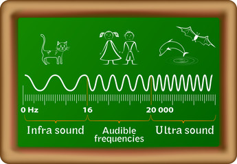 The sound waves vector diagram