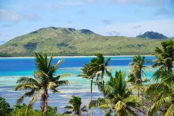 Rolgordijnen Tropical island with Fijian Palm trees © jamesharrison75