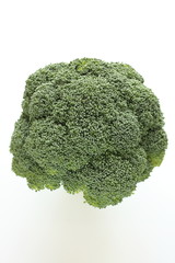 Freshness broccoli from Japan Hokkaido