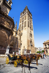 Naklejka na ściany i meble Carriages near Cathedral with Giralda tower, Seville, Spain.