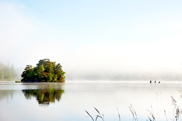 Island on foggy morning - obrazy, fototapety, plakaty