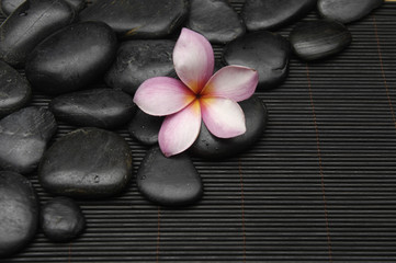Obraz na płótnie Canvas Spa life setting-frangipani with zen stones on mat