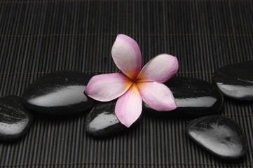 Obraz na płótnie Canvas Spa stones and frangipani flower on bamboo mat