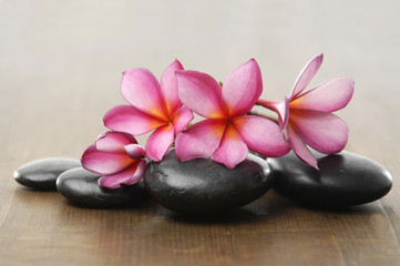 Obraz na płótnie Canvas zen stones with two frangipani flower on wooden board