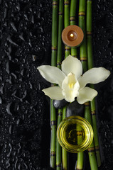 Spa setting with  orchid,zen stone ,candle on bamboo grove