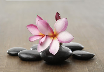 Obraz na płótnie Canvas frangipani flower for spa