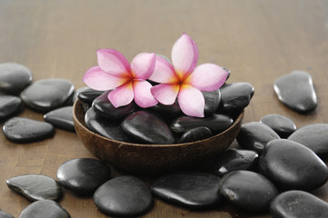 Two frangipani flower in wooden bowl on wooden board
