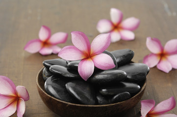 frangipani flower for spa