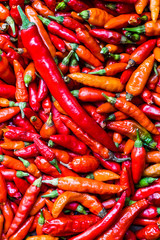 red chili