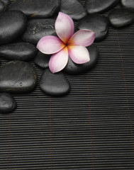 frangipani flower with pile of stones on mat
