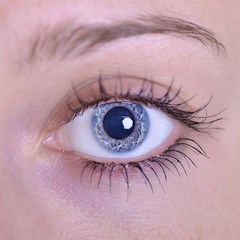 Obraz premium The eye