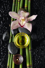 image of the spa concept
