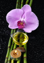 orchid and bamboo grove,massage oil,stone, candle on wet