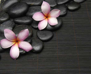 Obraz na płótnie Canvas zen stones and two frangipani on stick straw mat